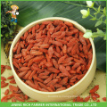 100% органическая сушеная ягода goji Китайская лайка zhongning goji berry